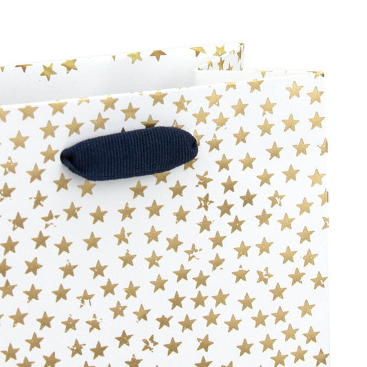 Hallmark Bottle Gift Bag - Tiny Shining Stars