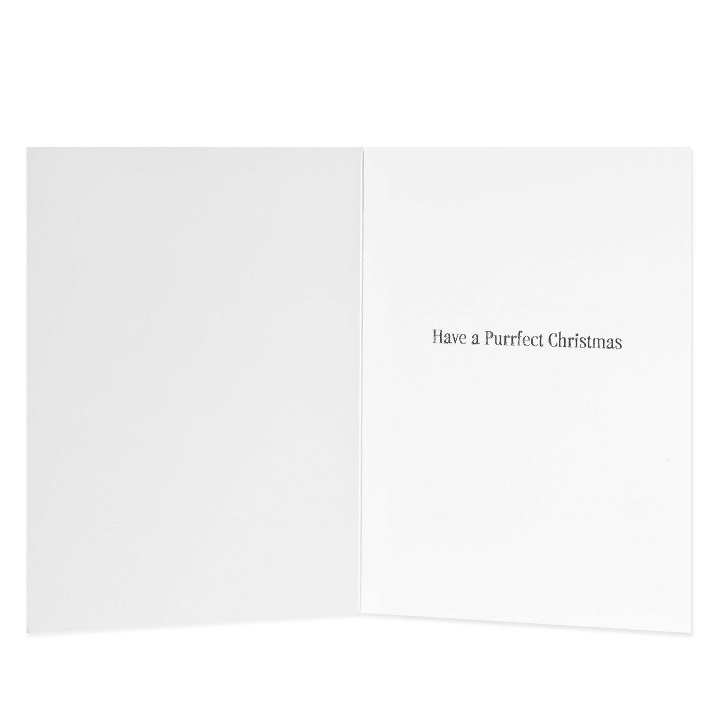 Hallmark 10 Pack Boxed Charity Christmas Cards - Purrfect Christmas