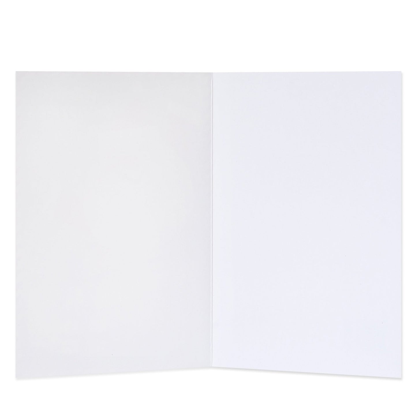 Hallmark 10 Pack Boxed Charity Christmas Cards - Wonderful Time