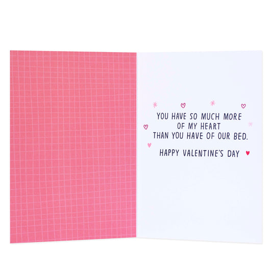 Hallmark Shoebox Valentine's Day Card - My Side, Pet Zone, Your Side, opened view showing pink and white interior design with text.