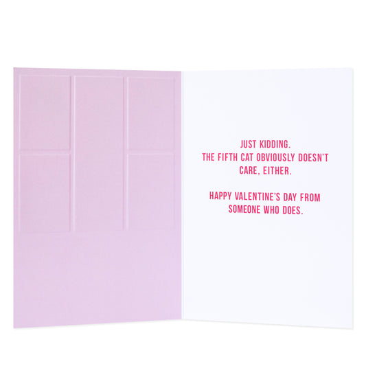 Hallmark Shoebox Valentine's Day Card - 4 Out Of 5 Cats Don't Care It's Valentine's Day with humorous inside message in pink text.