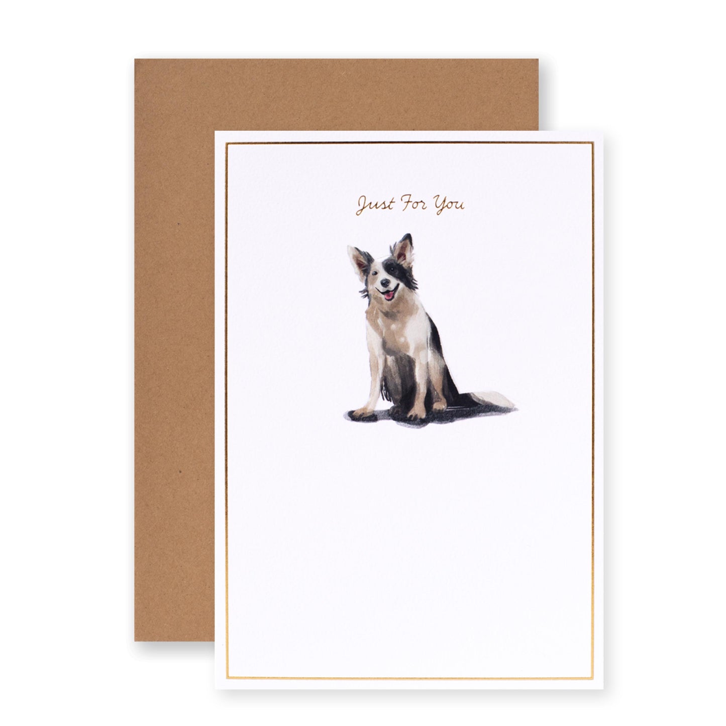 Hallmark Whimsical Whiskers Just For You Greeting Card - Border Collie Dog