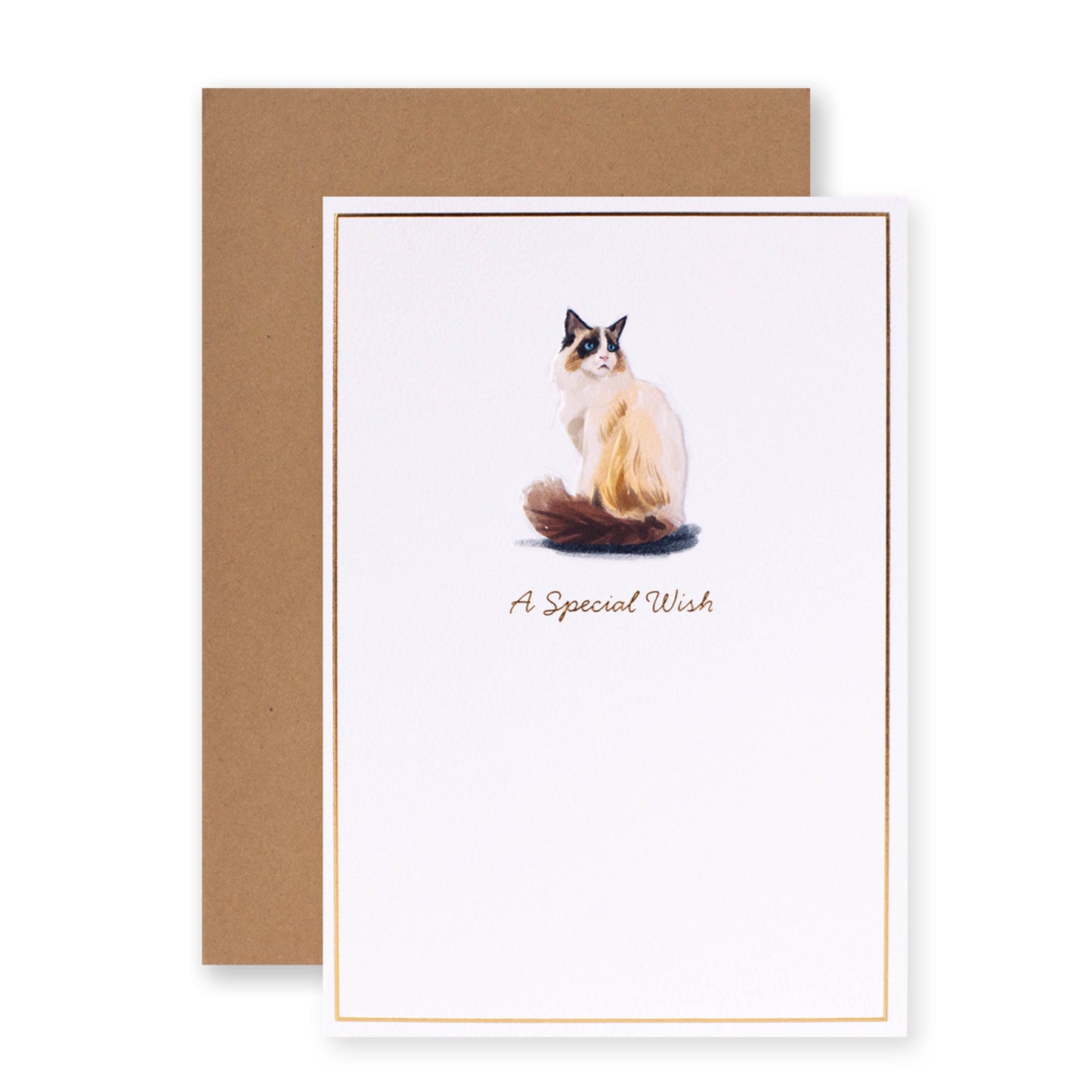 Hallmark Whimsical Whiskers A Special Wish Greeting Card - Rag Doll Cat