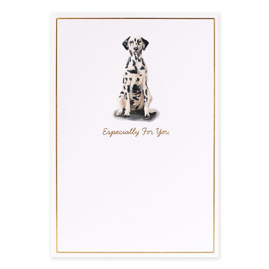 Hallmark Whimsical Whiskers Especially For You Greeting Card - Dalmatian Dog