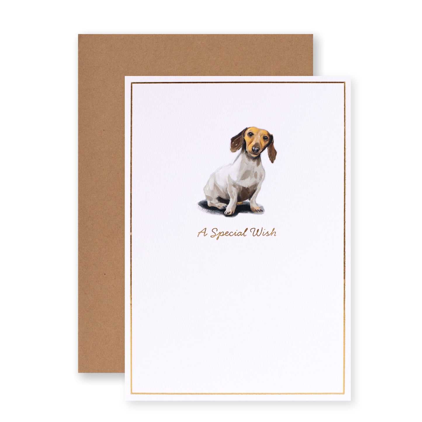 Hallmark Whimsical Whiskers A Special Wish Greeting Card - Daschund Dog