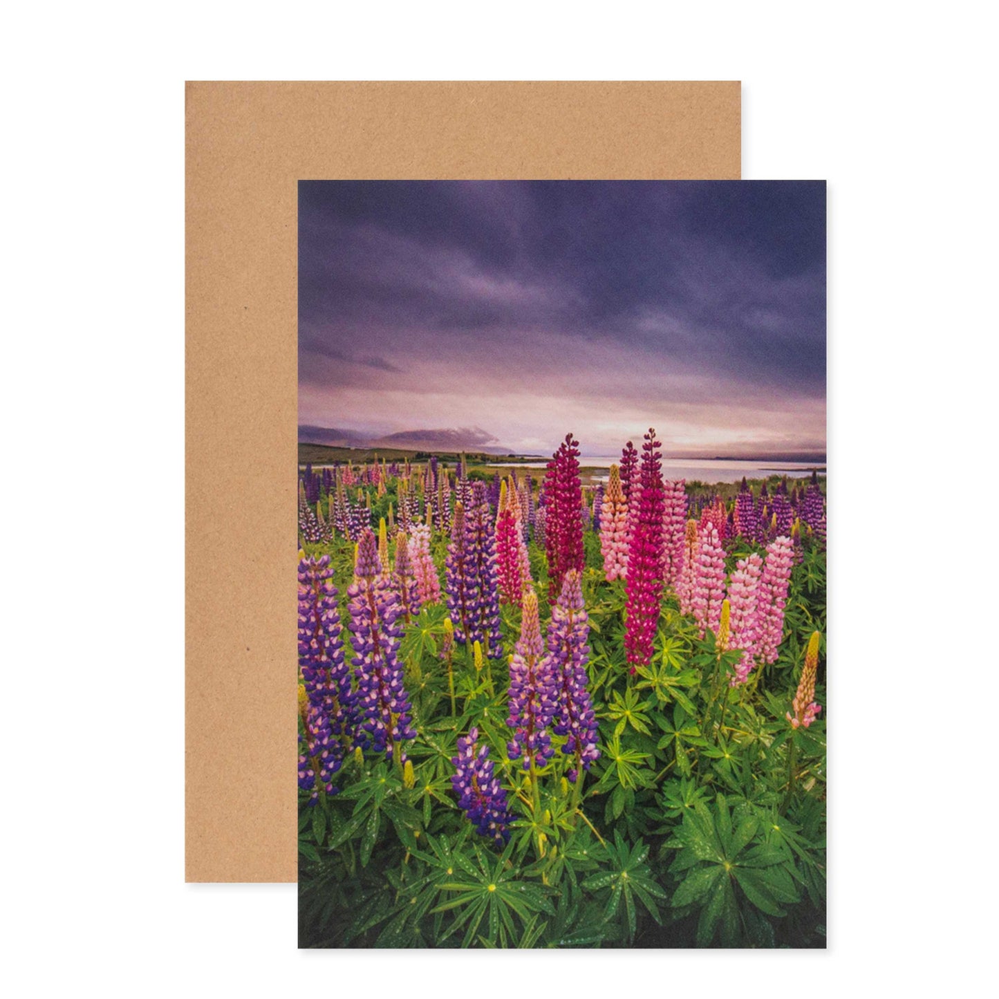 Hallmark Megan Maloney Photographic Card - Blank