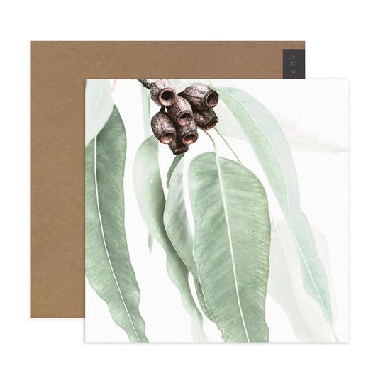 Hallmark x Donna Delaney Gallery Blank Greeting Card - Home Among The Gum Trees