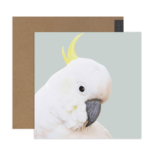 Hallmark x Donna Delaney Gallery Blank Greeting Card - Freddy