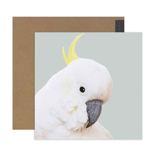 Hallmark x Donna Delaney Gallery Blank Greeting Card - Freddy