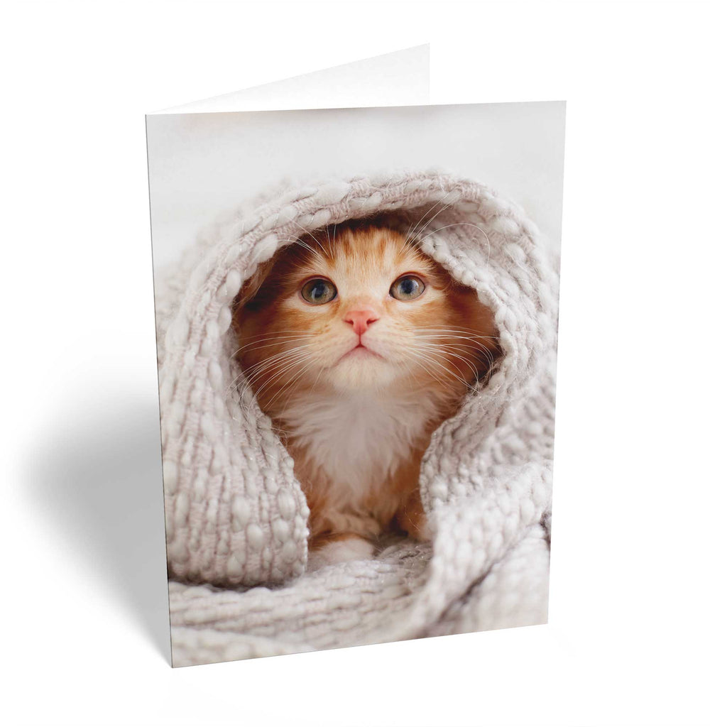 Cute Kitten Cat Blanket