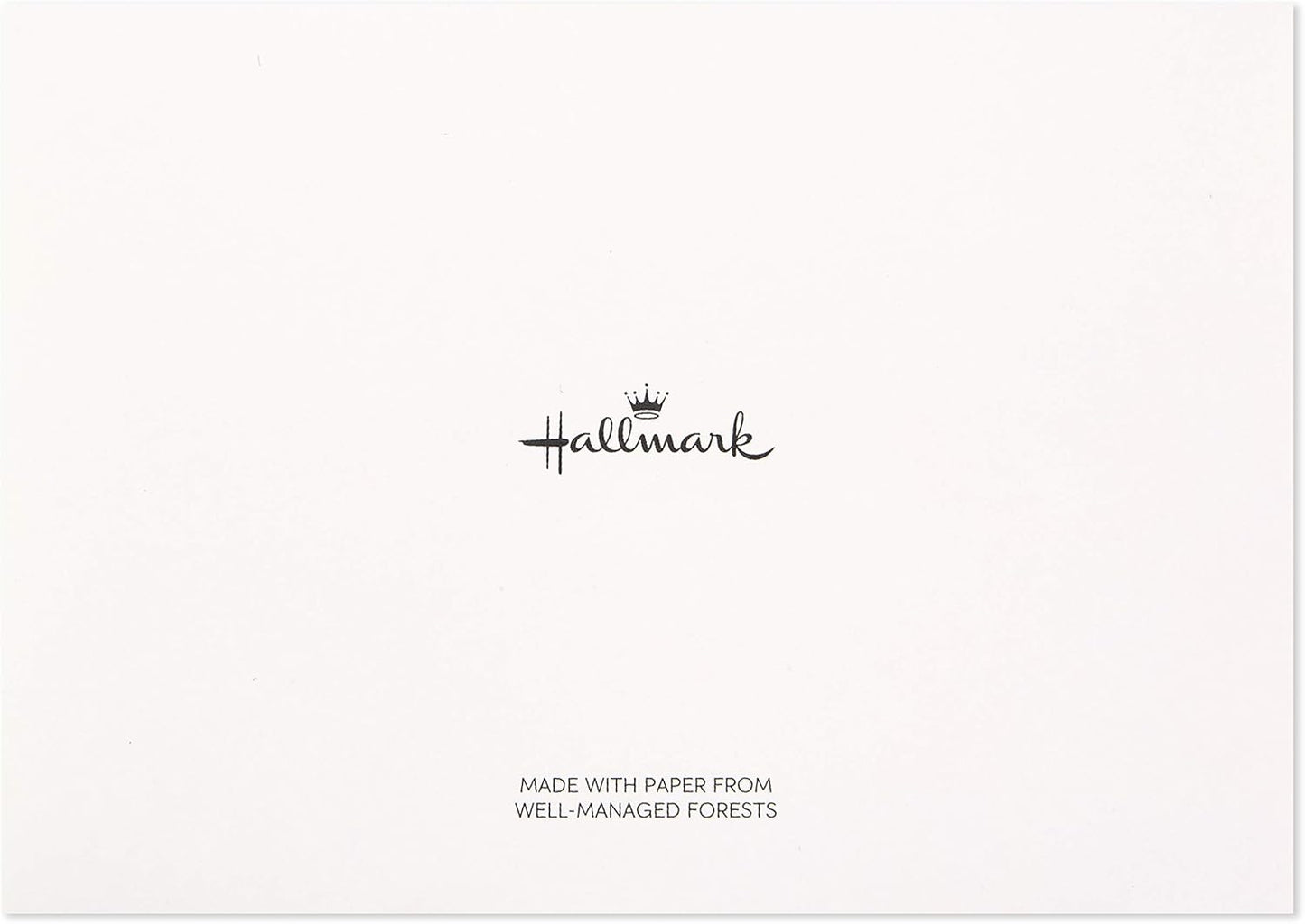 Hallmark Thank You Cards Assortment, Gold Foil Scroll (50 Thank You Notes with Envelopes for Wedding, Bridal Shower, Baby Shower, Business, Graduation)