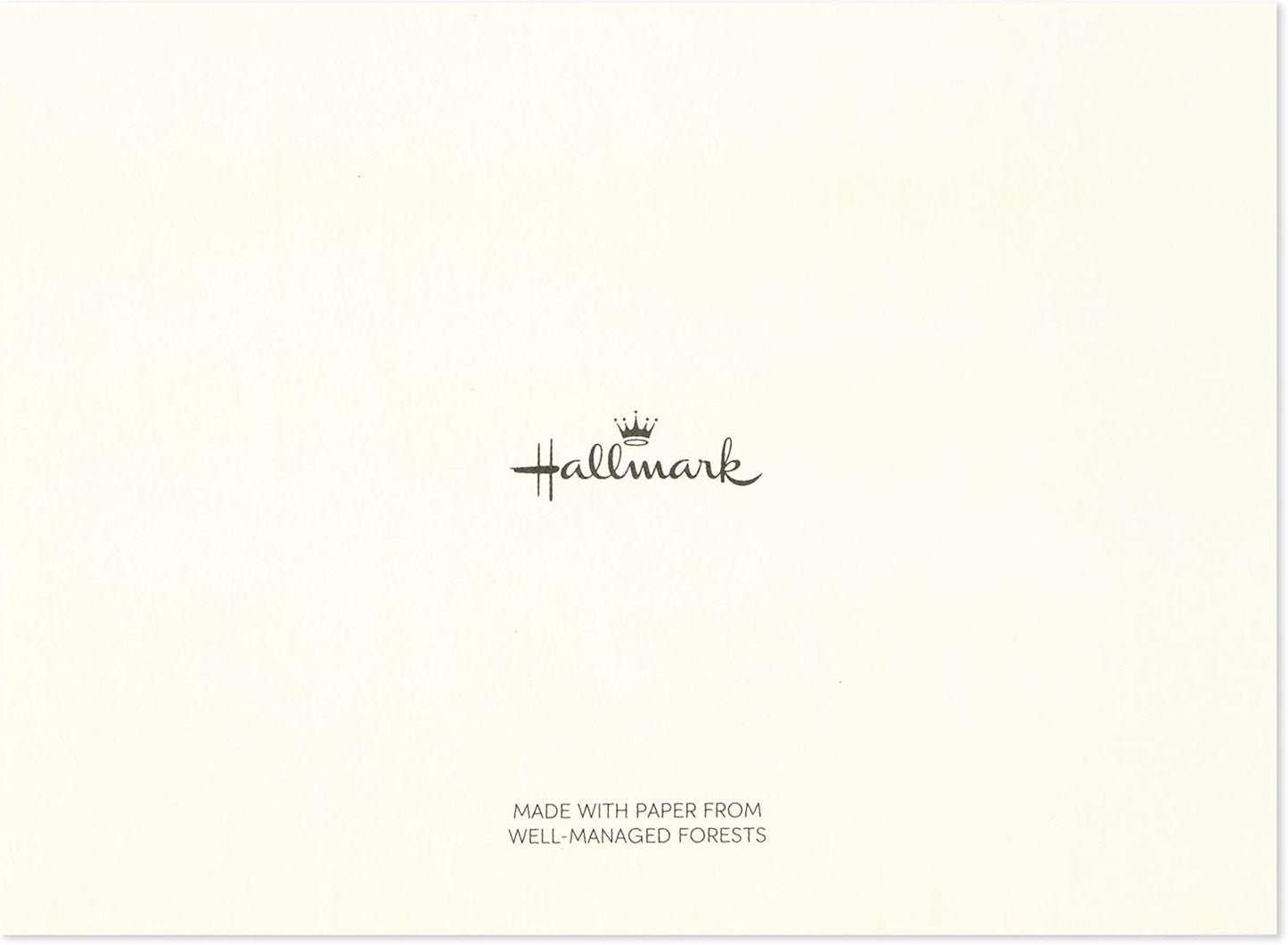 Hallmark Notecards (Stripes, Dots, Flowers, 40 Cards and Envelopes)