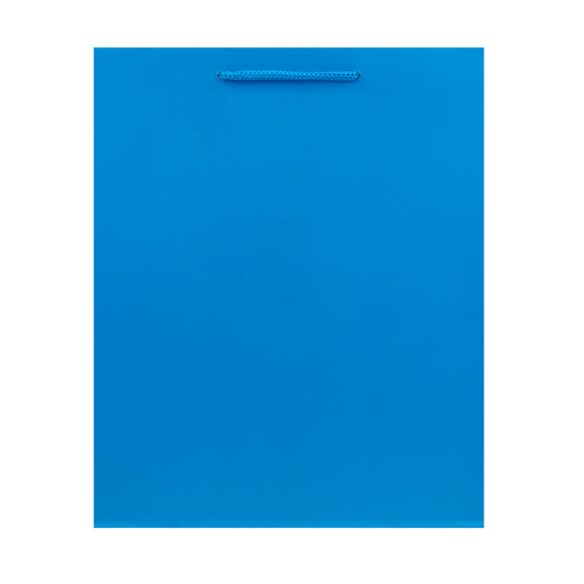 Hallmark Medium Gift Bag - Blue