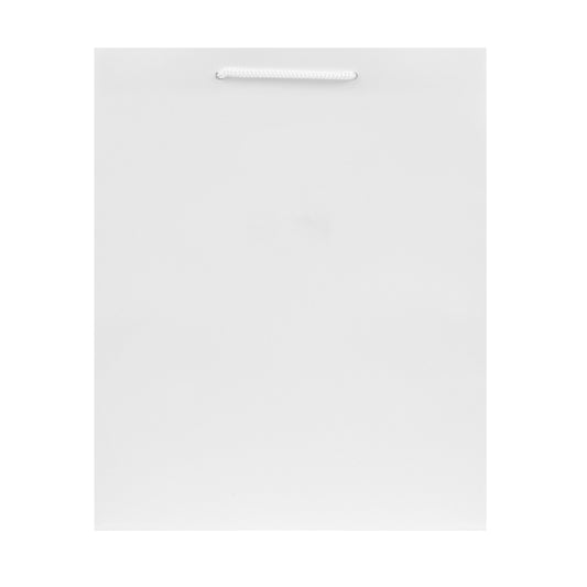 Hallmark Medium Gift Bag - Solid White