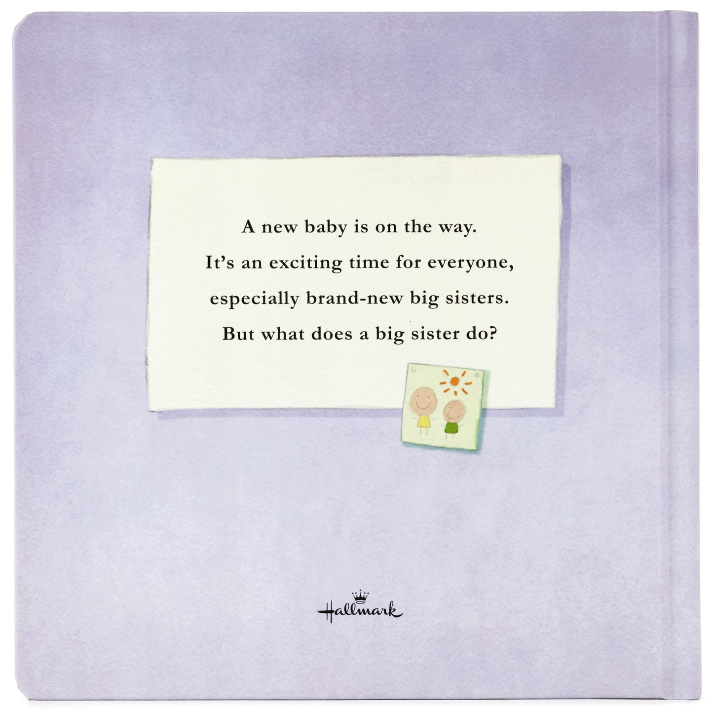 What Does a Big Sister Do? Book