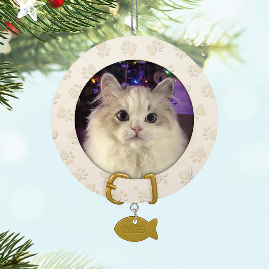 Furry Friend — 2025 Hallmark Keepsake Christmas Ornament