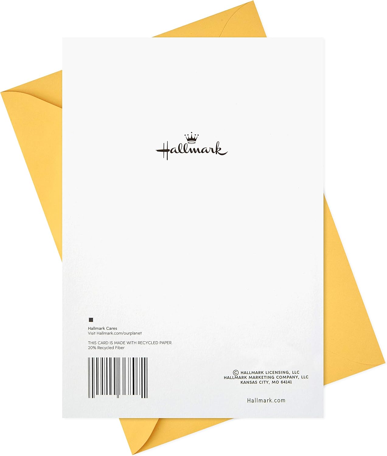 Hallmark Birthday Greeting Card (Envelope with Confetti)