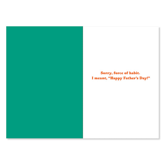 Hallmark Father's Day Card - Didn't Do It!