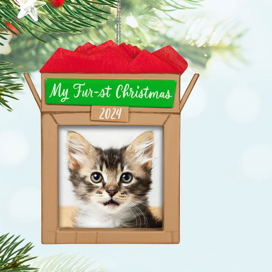 Pet's Fur-st Christmas Photo Frame — Hallmark Keepsake Christmas Ornament featuring a cute kitten, open gift box design with red tissue and green text.