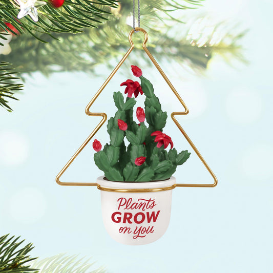 Plants Grow On You — 2025 Hallmark Keepsake Christmas Ornament featuring a Christmas cactus in a white pot with gold hanger and red blooms.
