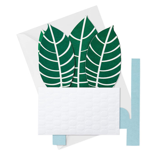 Hallmark Paper Wonder Pop Up Card for Birthday, Thinking of You, Congrats, Get Well, or Any Occasion (Potted Zebra Plant) with vibrant green leaves and textured pot.