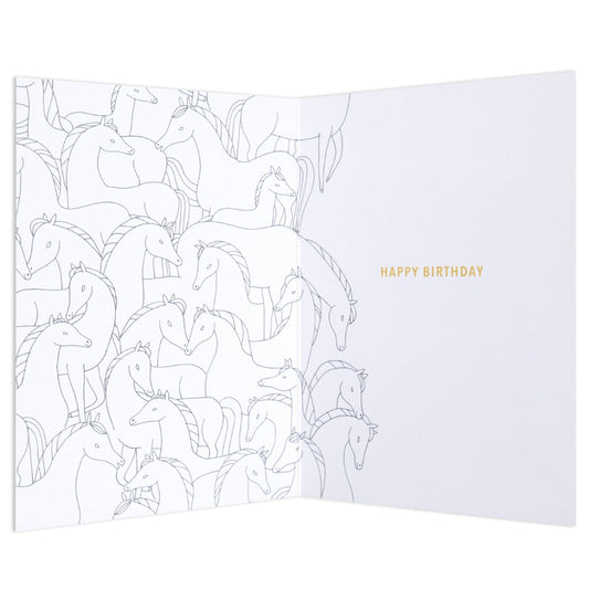 Fun Zebra Birthday Card