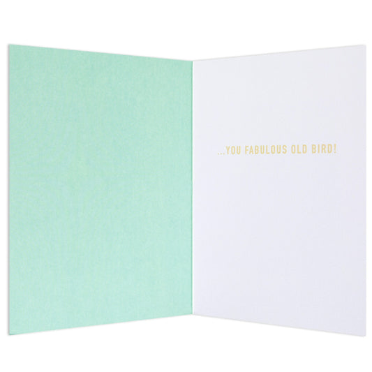 Party Parrot Funny Birthday card