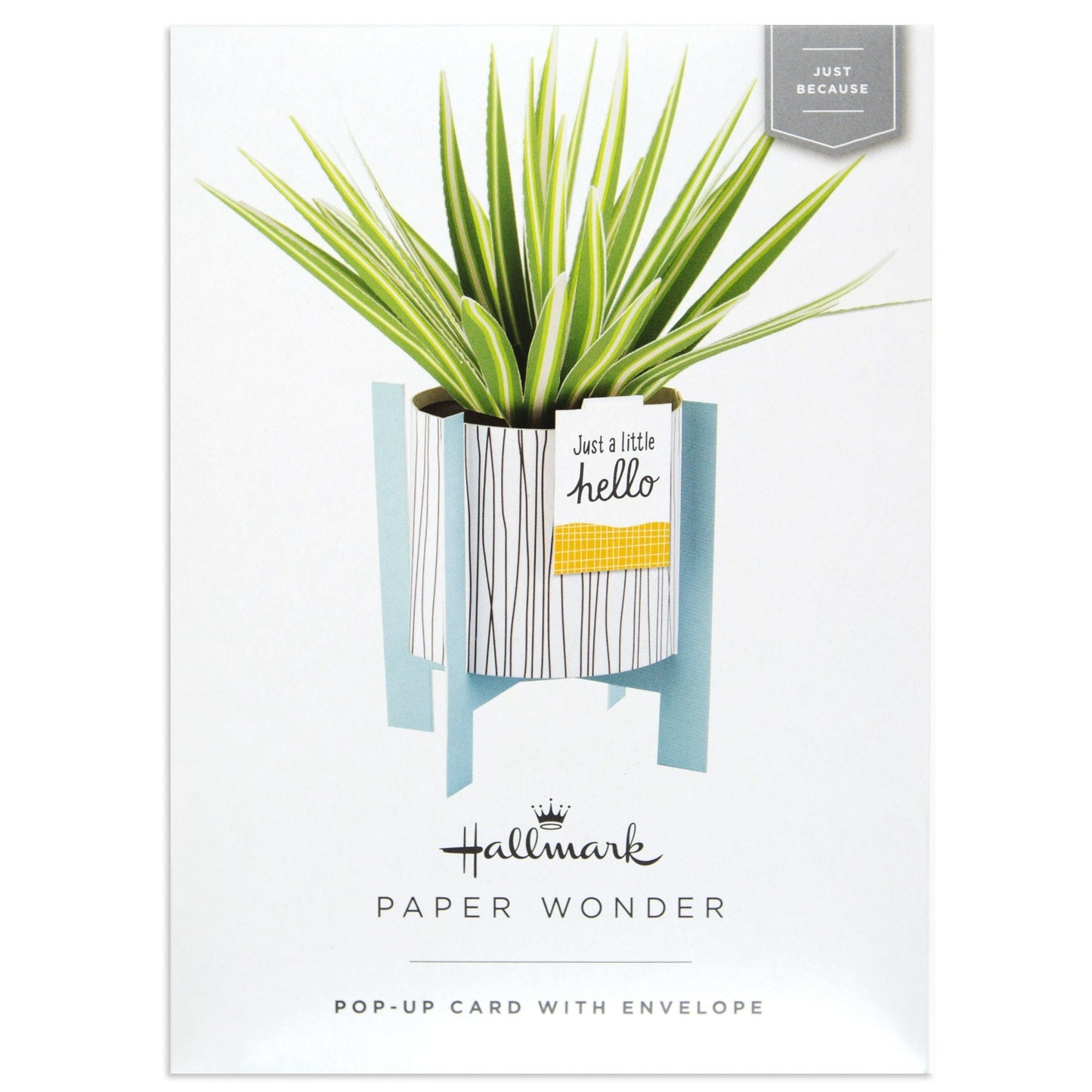Paper Wonder Pot Plant - Spider Plant