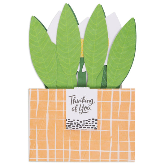 Paper Wonder Pot Plant - Peace Lily