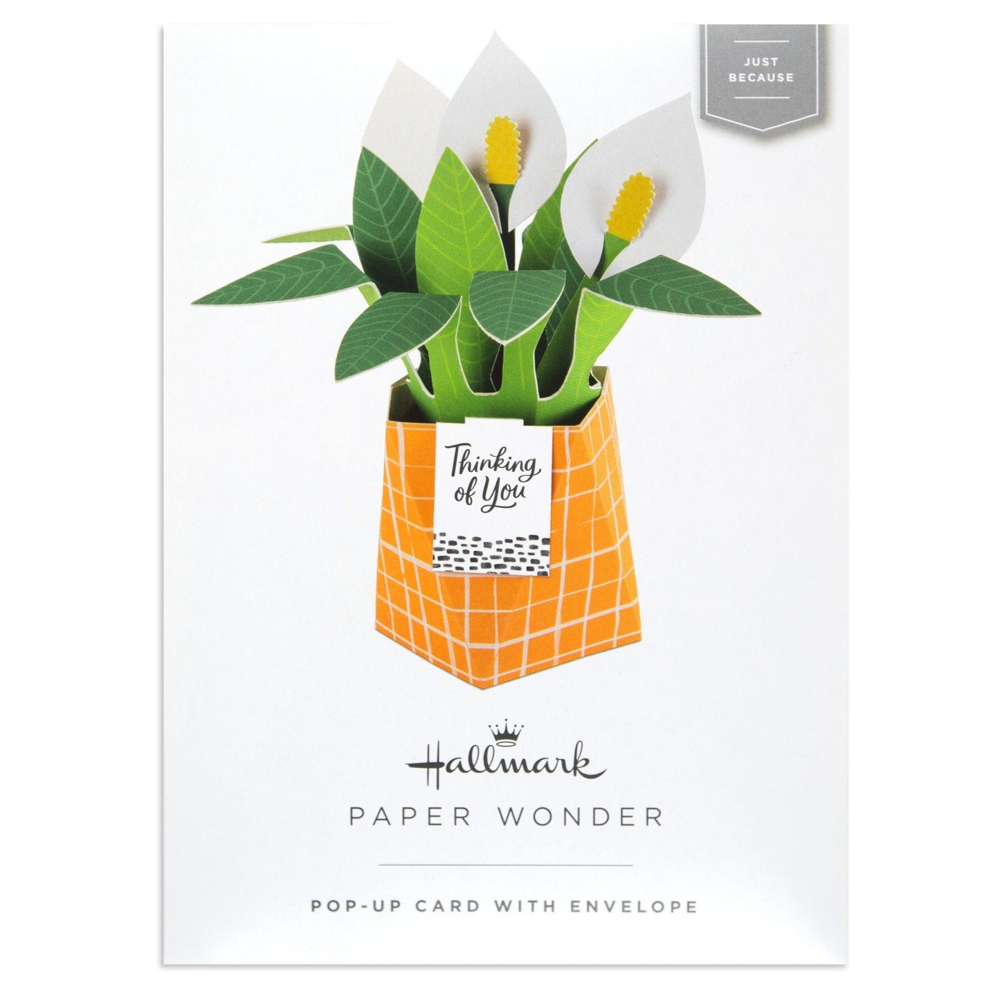 Paper Wonder Pot Plant - Peace Lily
