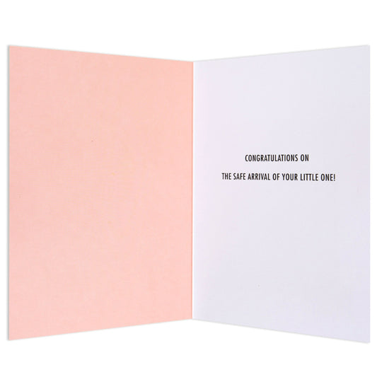 Welcome Little Princess Sweet Baby Congratulations Card