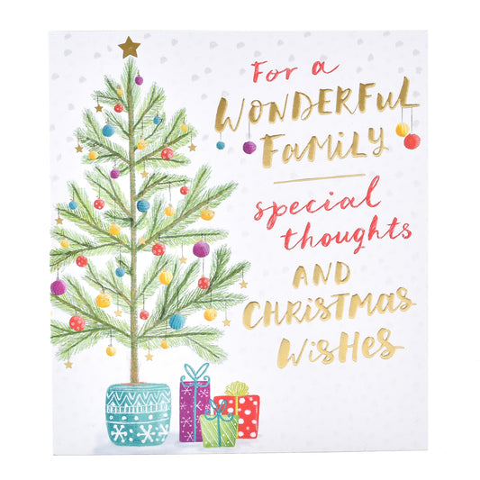 Hallmark Christmas Card For Family - Special Thoughts & Wishes