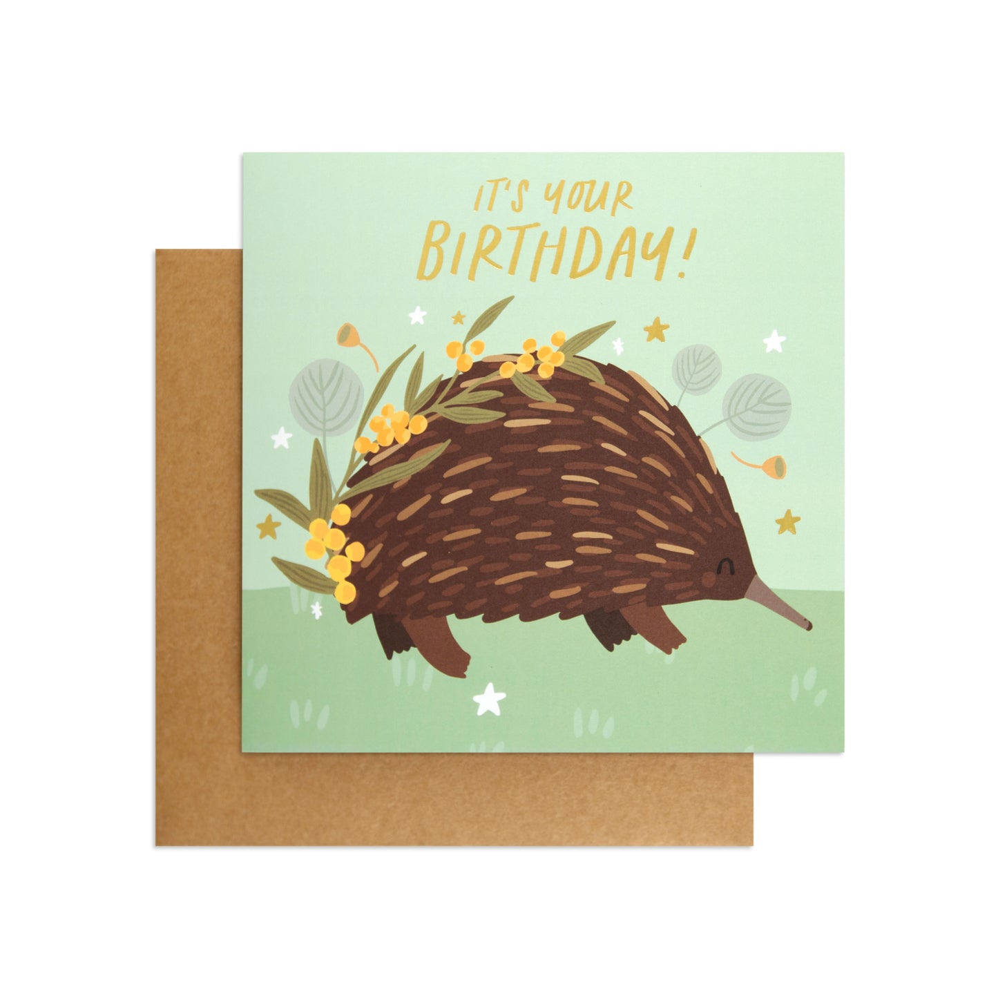 Australian Spirit Bush Buddies Birthday Card - Echidna