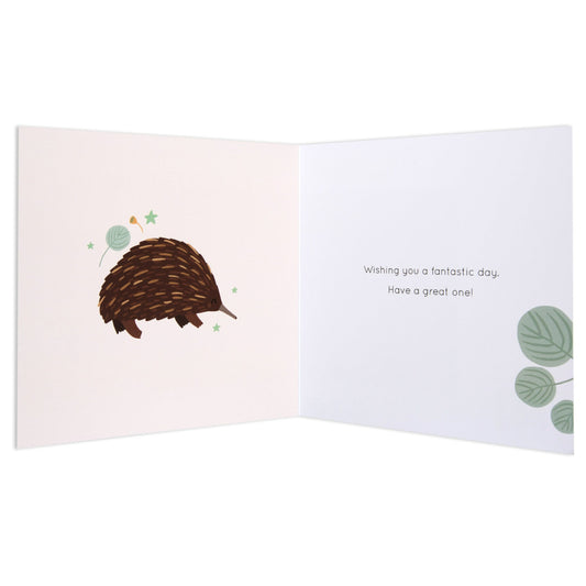 Australian Spirit Bush Buddies Birthday Card  - Echidna