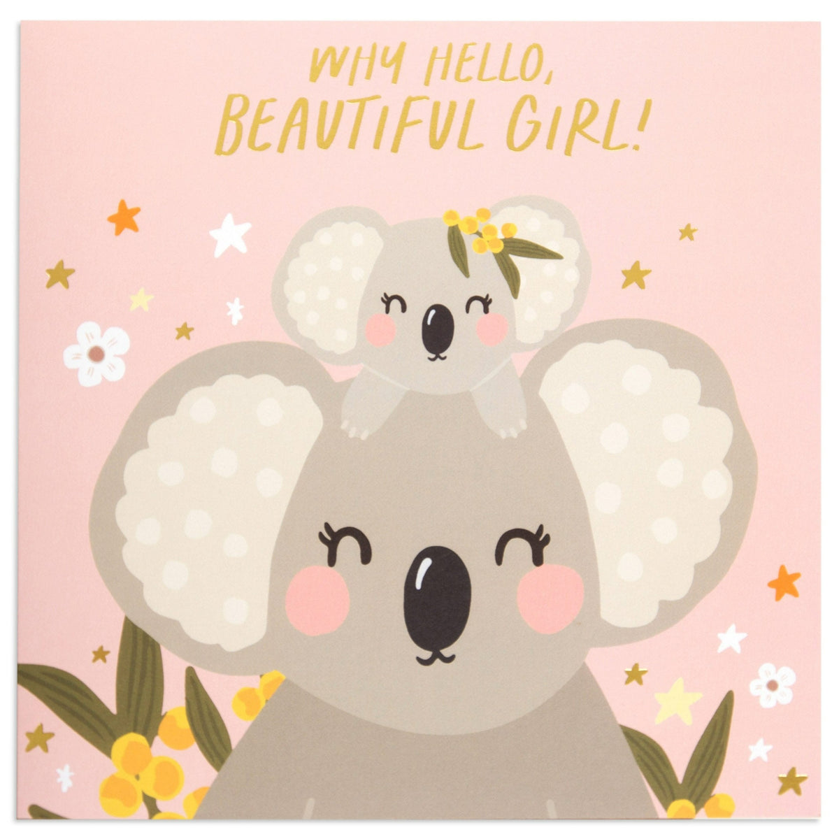 Koala Girl :-), ❖ Gallery and Prints ❙ ❙ ❙ My Google Plus ❙…
