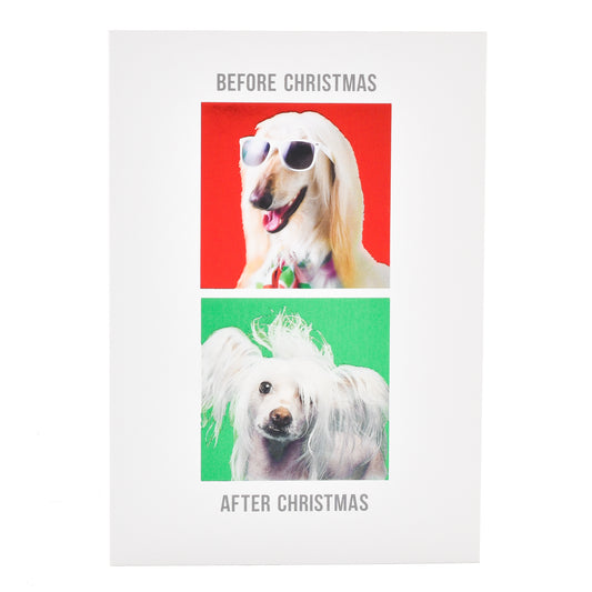 Hallmark Christmas Card  - Before & After Dog