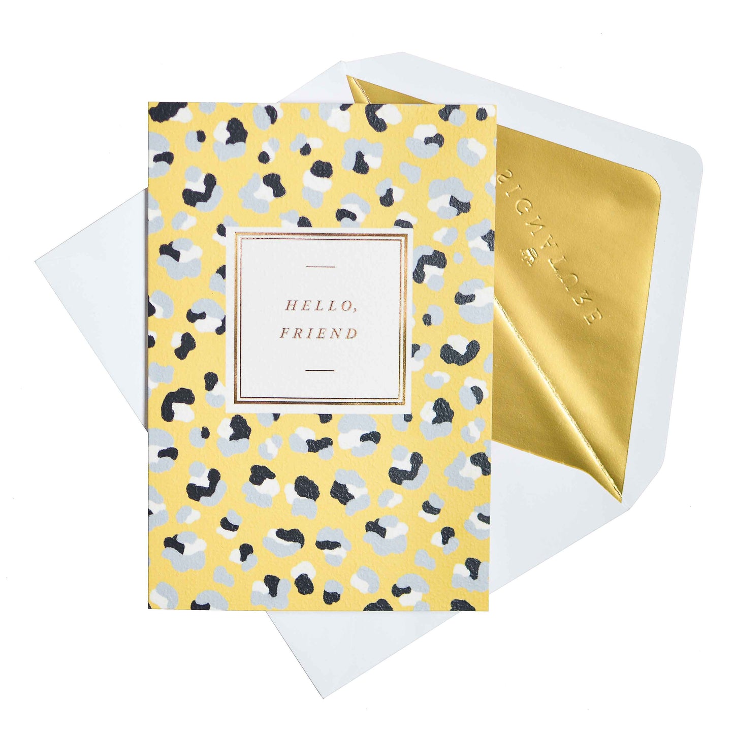 Signature Studio Greeting Card - Hello Friend