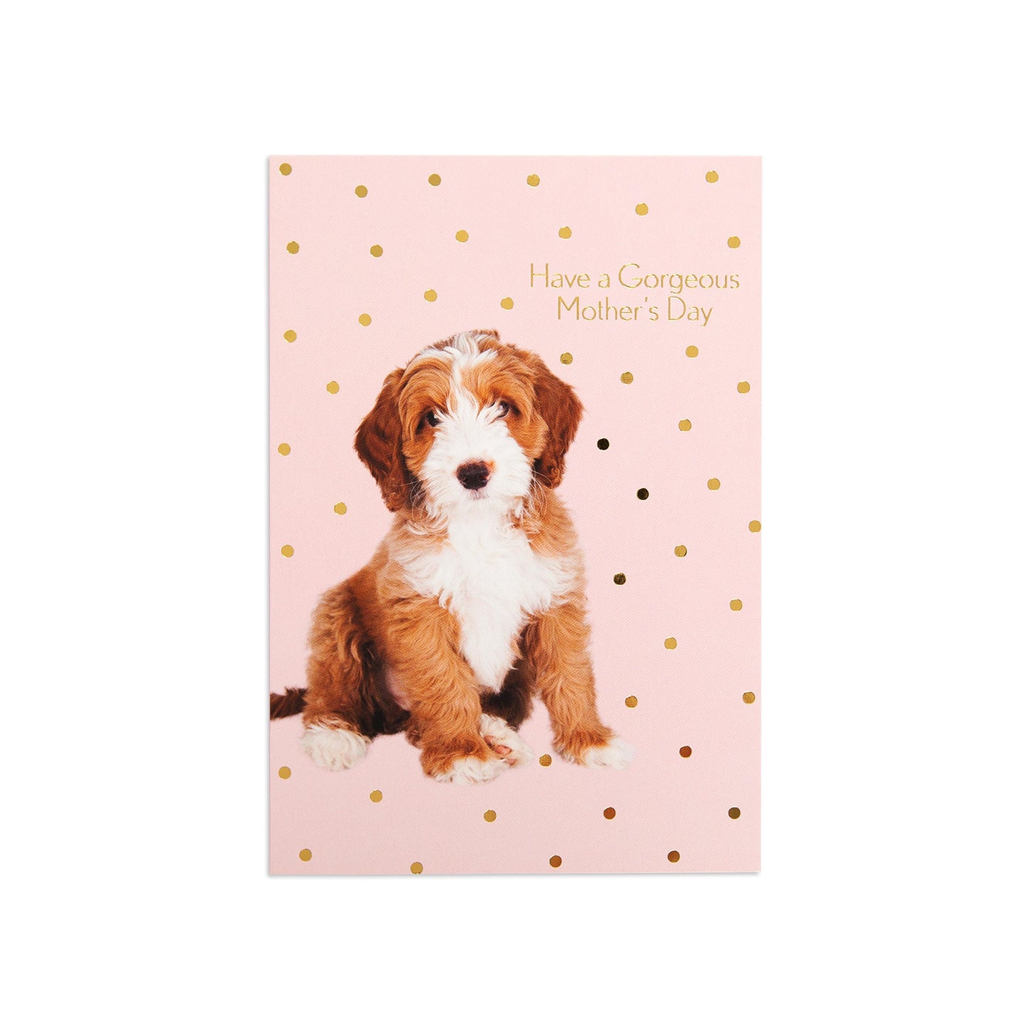 Mother's Day Card - Sweet Puppy Dog