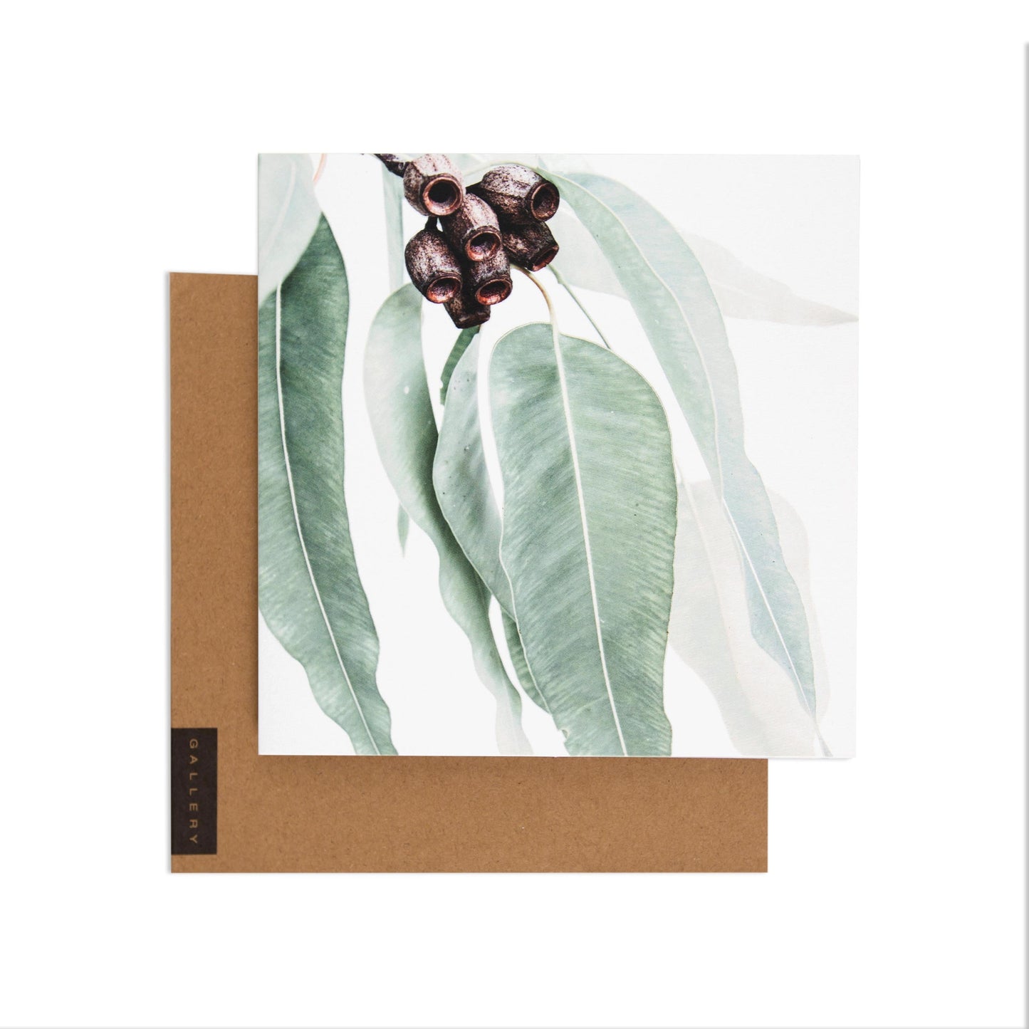 Pink Gumtree by Donna Delaney Blank Card