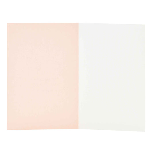 Signature Studio All Occasions Card - Pretty Potted Plant, open view showing pale pink and white blank inside for messages.