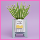 Paper Wonder Pot Plants in a decorative grey pot with a cheerful 'hello' tag and green striped leaves, on a pastel purple background.
