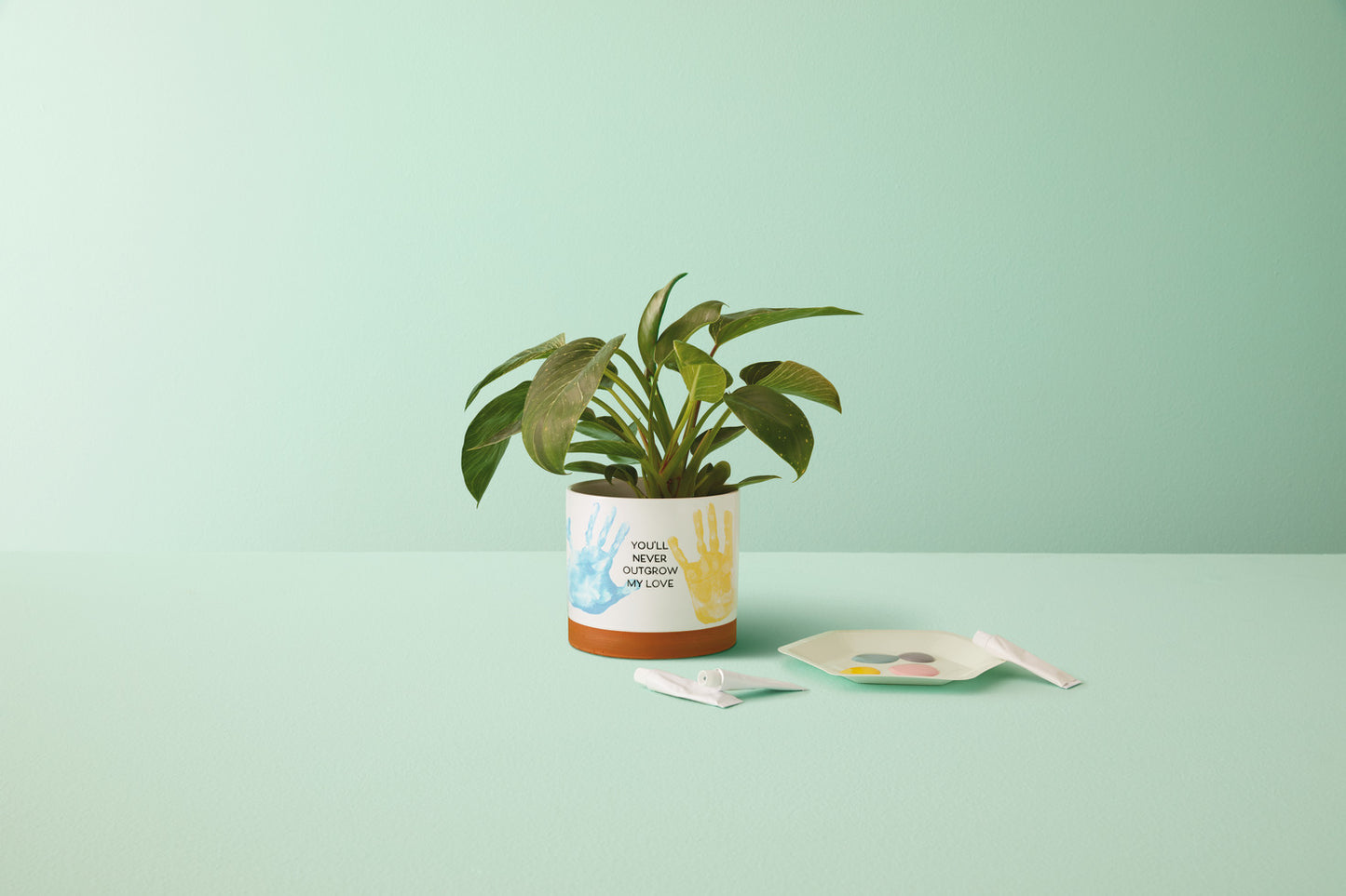 Never Outgrow My Love Planter Handprint Kit