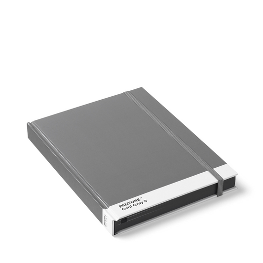 Pantone Notebook L, Cool Gray 9