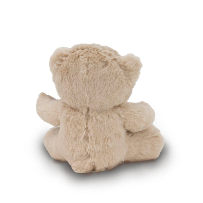 Bear Plush Gift Card Holder