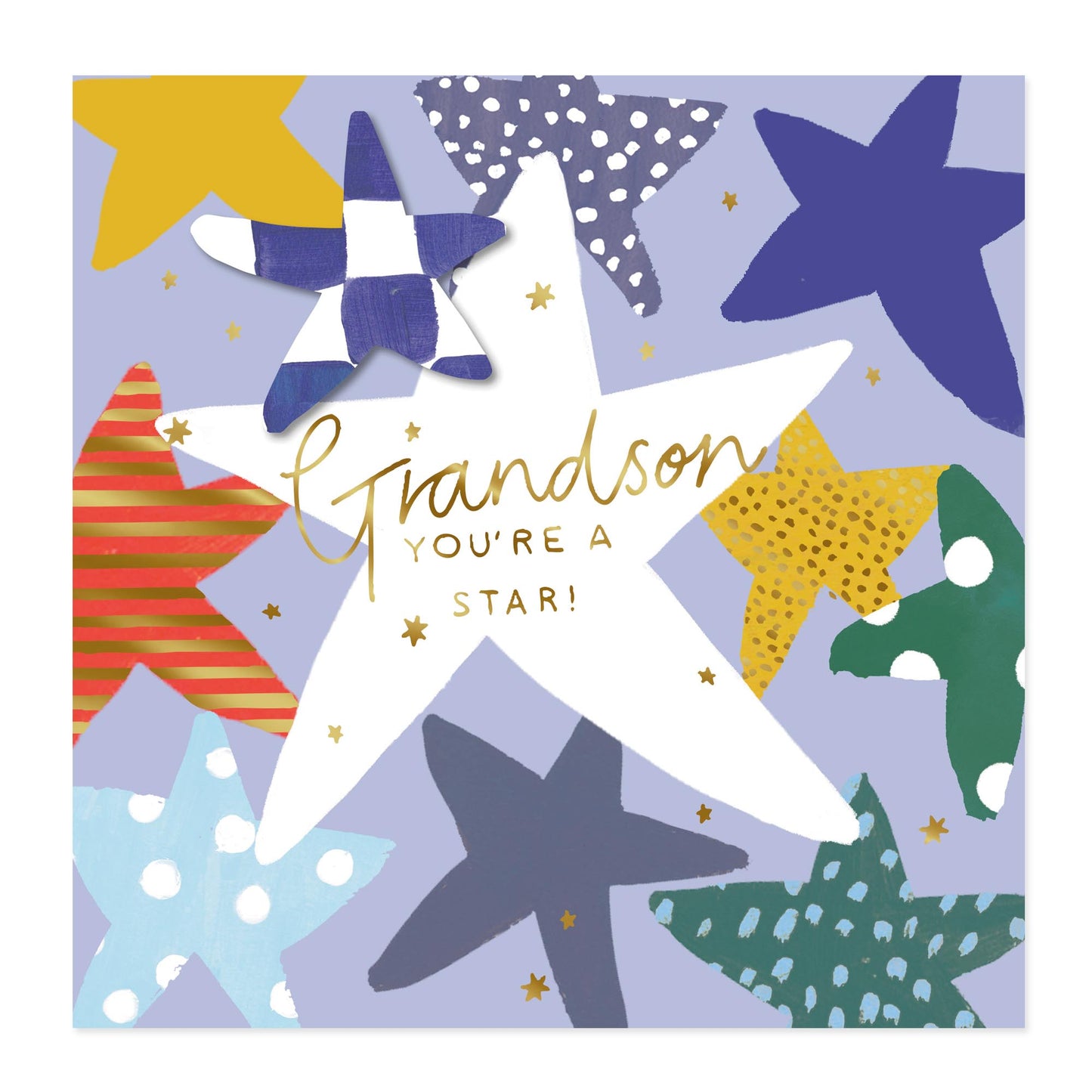 A square greeting card design featuring a large white star in the center with the words 'Grandson YOU'RE A STAR!' in gold script and block lettering. The card is decorated with multiple colorful starfish shapes in blue, yellow, green, red, and navy on a light lavender background.