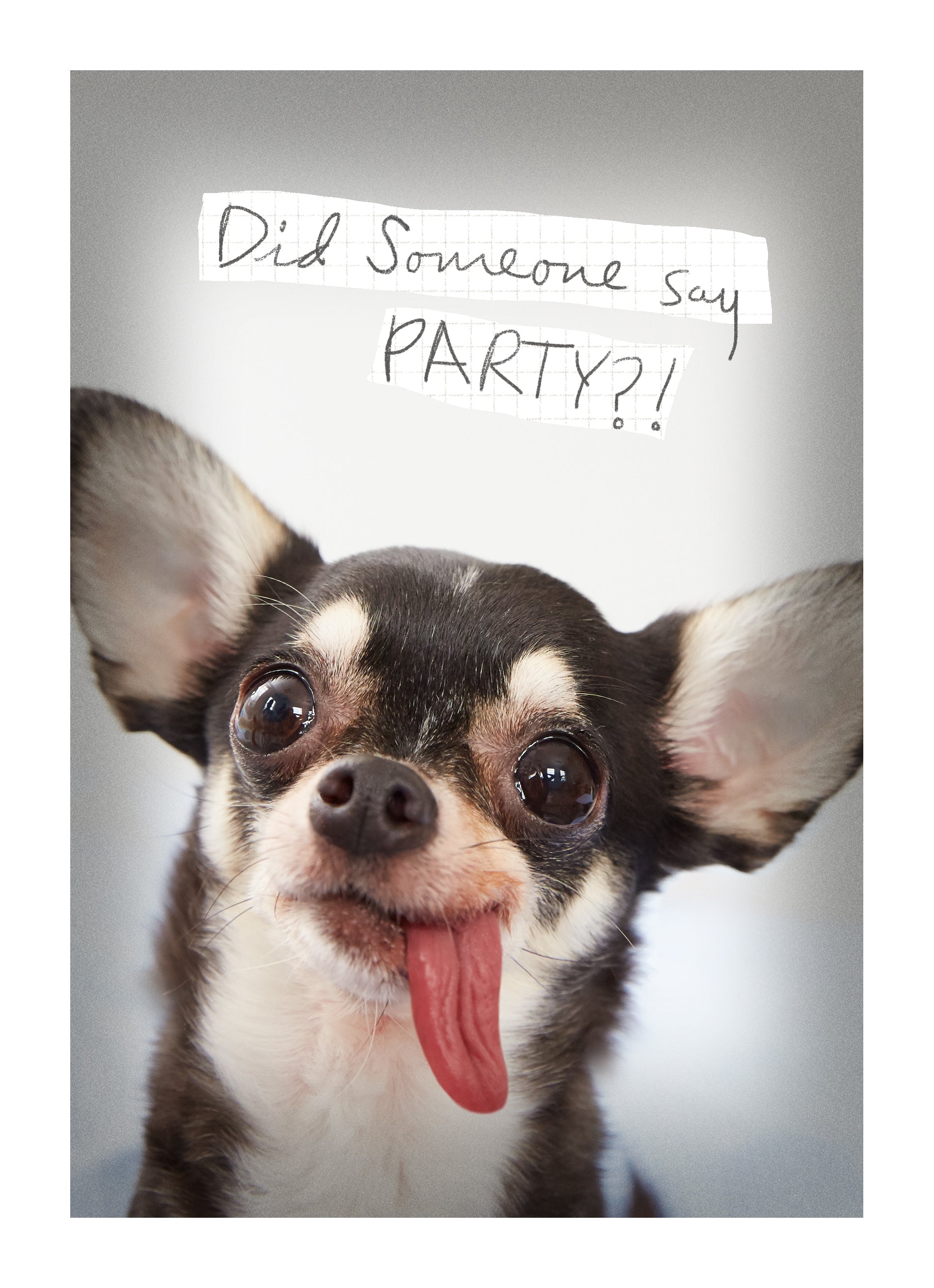 Funny Birthday Photographic Dog Did Somebody Say Party