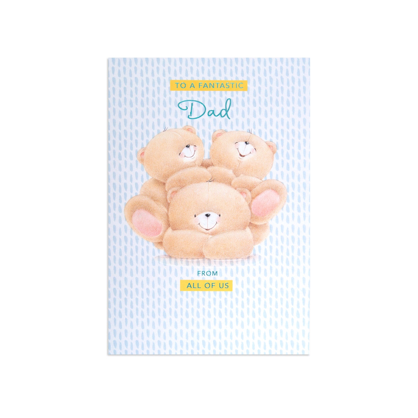 Hallmark Father's Day Card - Forever Friends Fantastic Dad