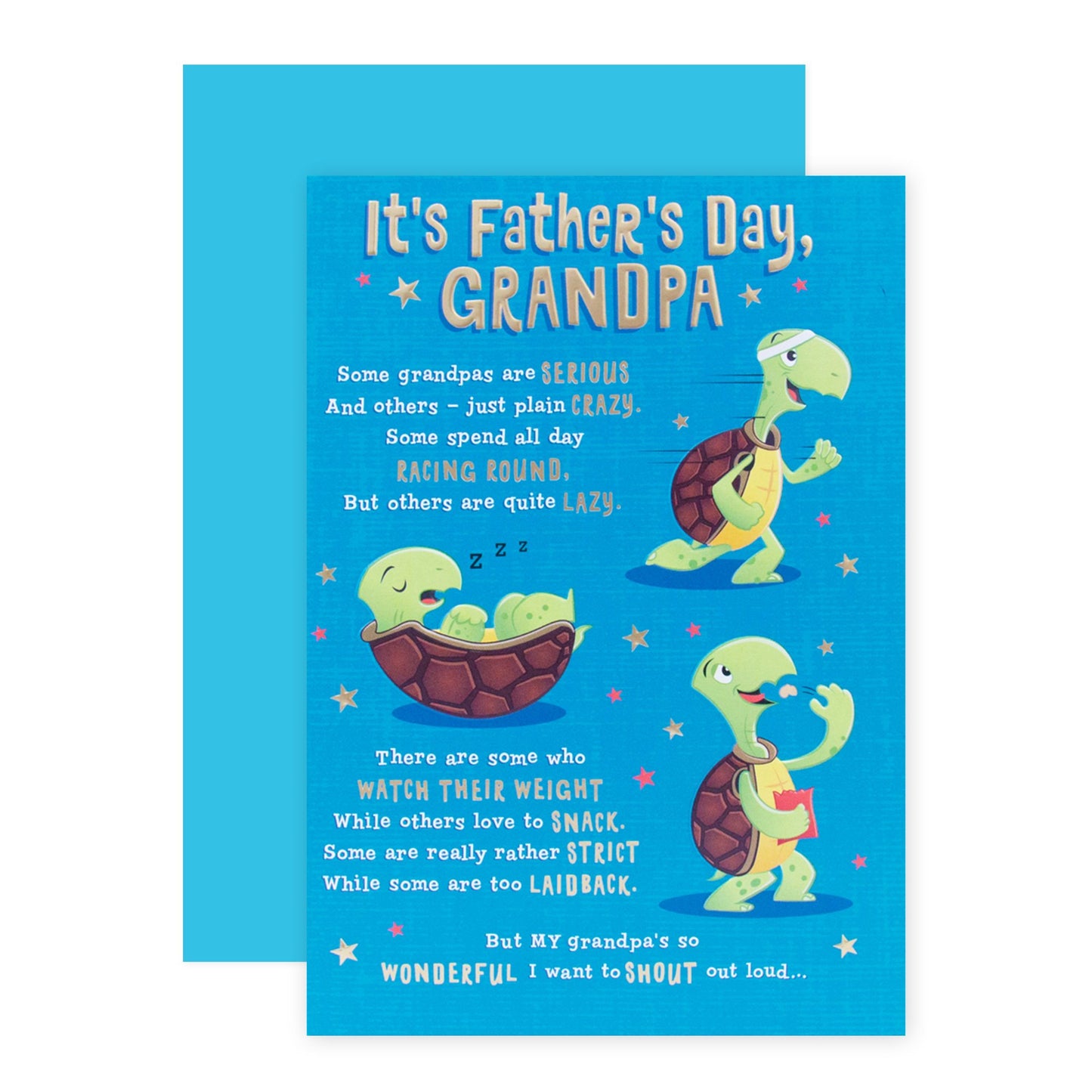 Hallmark Father's Day Card - Tortoises (For Grandpa)