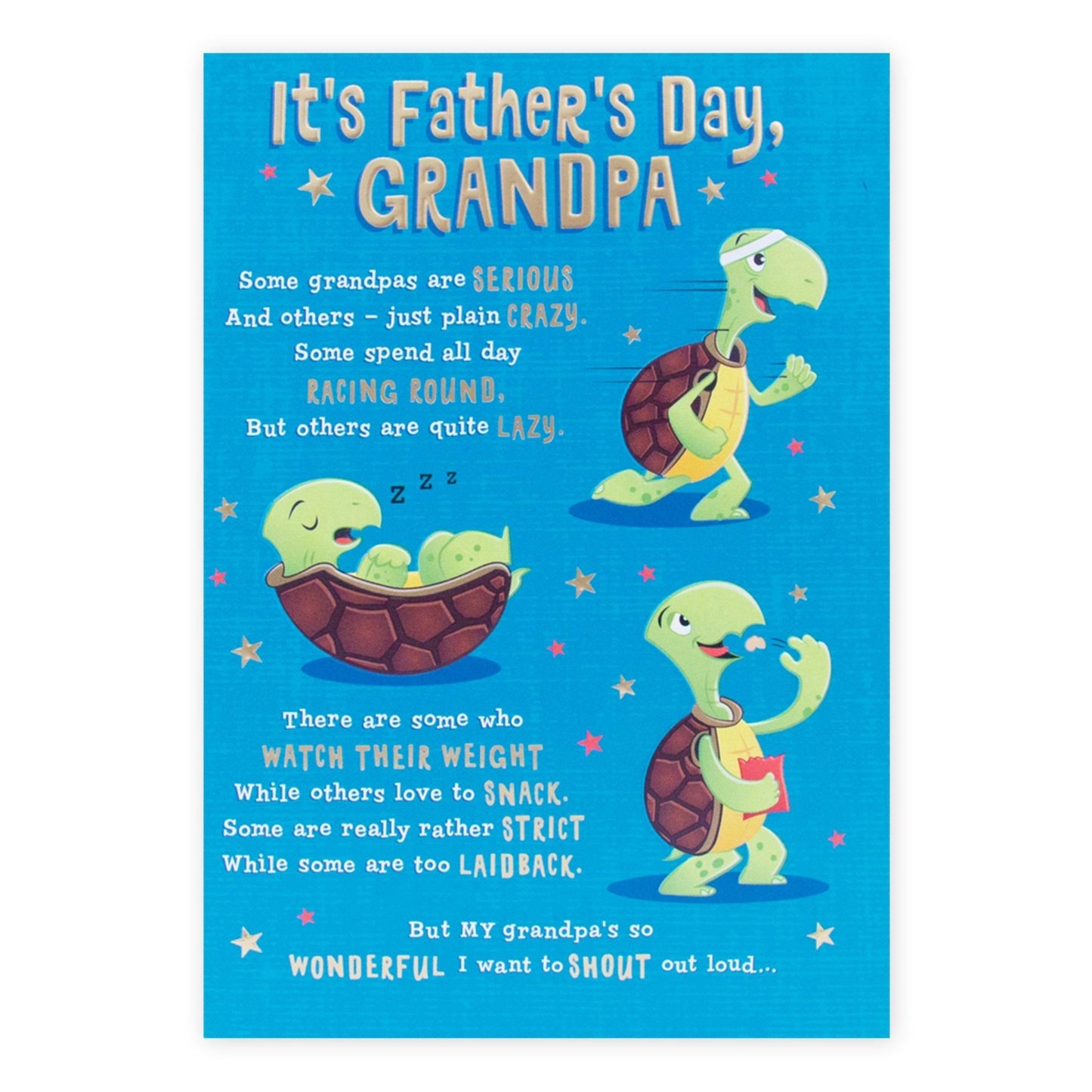 Hallmark Father's Day Card - Tortoises (For Grandpa)