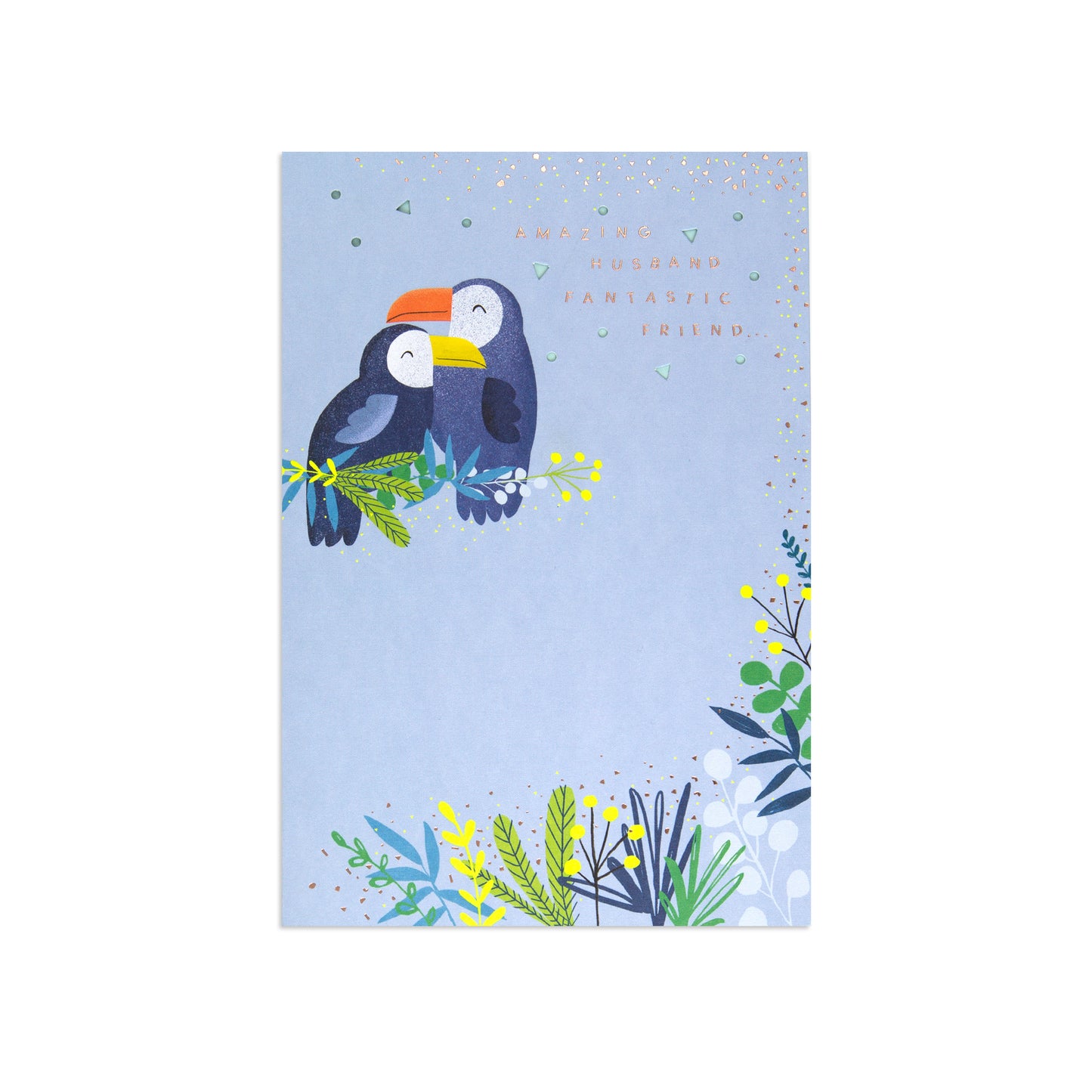 Hallmark Father's Day Card for Husband - Amazing Husband Fantastic Friend